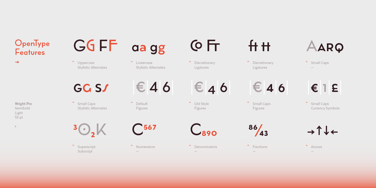 Przykład czcionki Wright Pro Light Italic